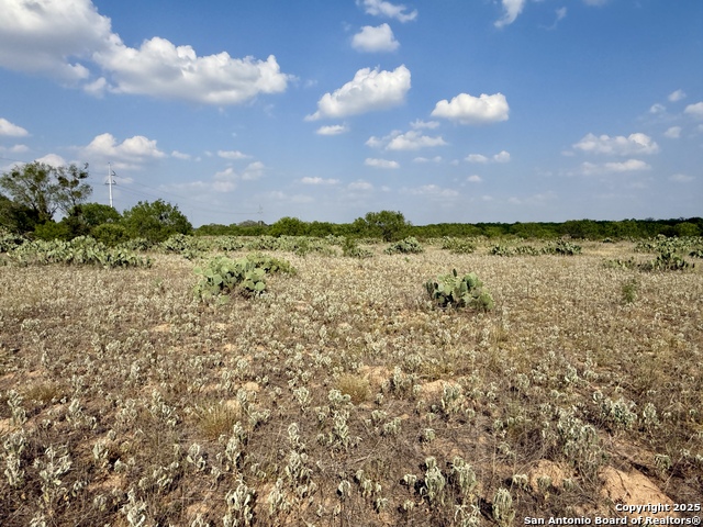 Image 11 of 11 For Tbd Lot 61 Cr 1647 E