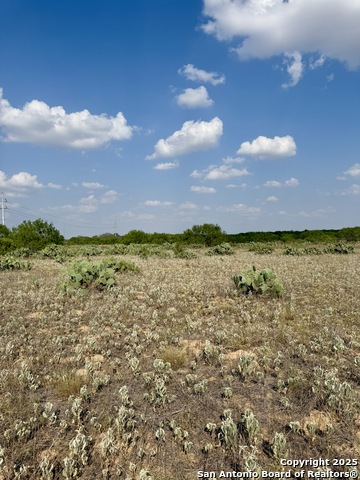Image 4 of 11 For Tbd Lot 61 Cr 1647 E