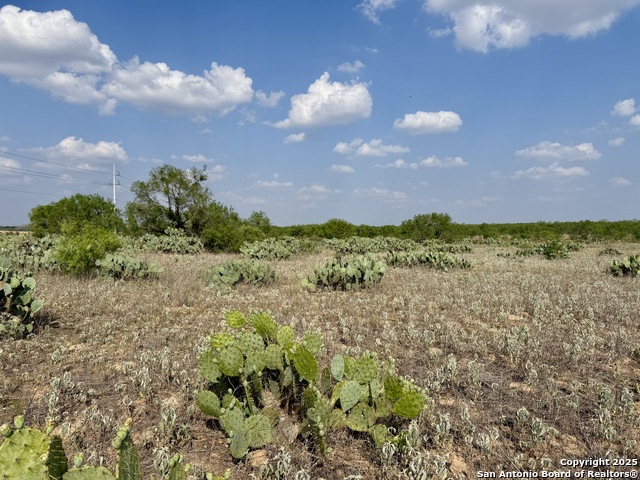 Image 7 of 11 For Tbd Lot 61 Cr 1647 E