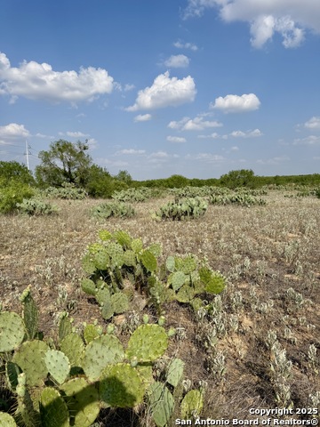 Image 8 of 11 For Tbd Lot 61 Cr 1647 E