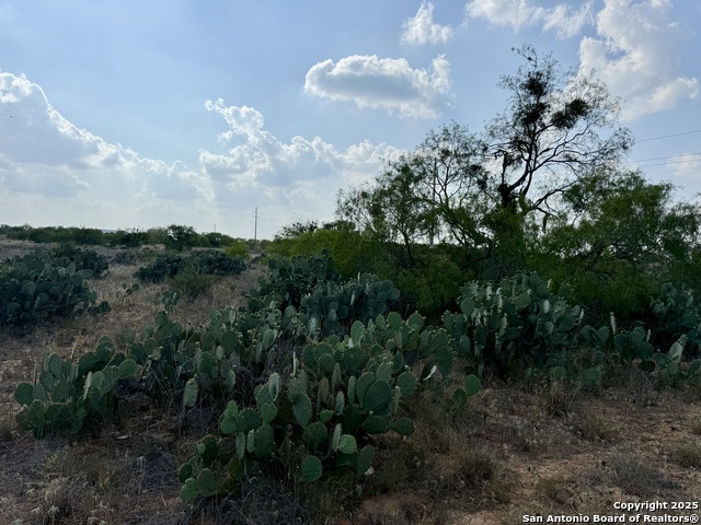 Image 9 of 11 For Tbd Lot 61 Cr 1647 E