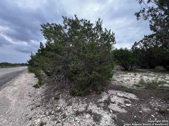 Listing photo id 1 for Lots 108 & 109 Old Castroville