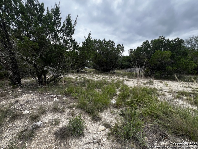 Listing photo id 2 for Lots 108 & 109 Old Castroville