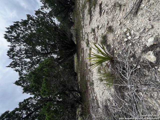 Listing photo id 3 for Lots 108 & 109 Old Castroville