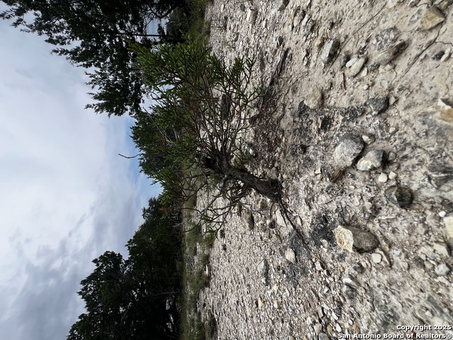 Listing photo id 4 for Lots 108 & 109 Old Castroville