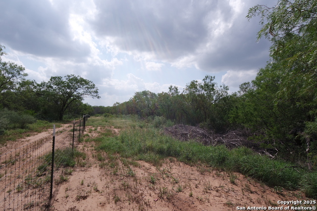 Listing photo id 9 for 9459 Crow