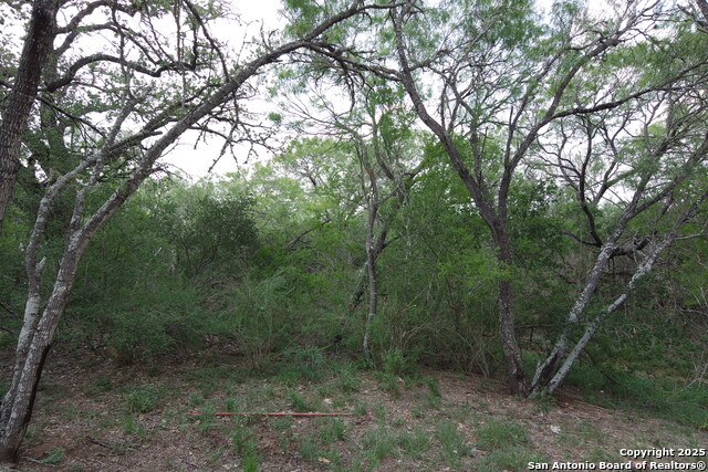 Listing photo id 4 for 9459 Crow