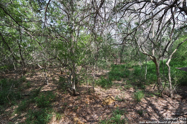 Listing photo id 7 for 9459 Crow