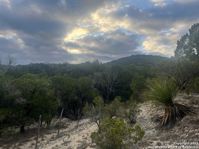 Listing photo id 17 for 868 Lakeridge Loop