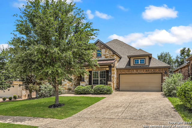 Image 4 of 50 For 32241 Tamarind