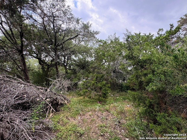 Listing photo id 8 for 1107 High Point
