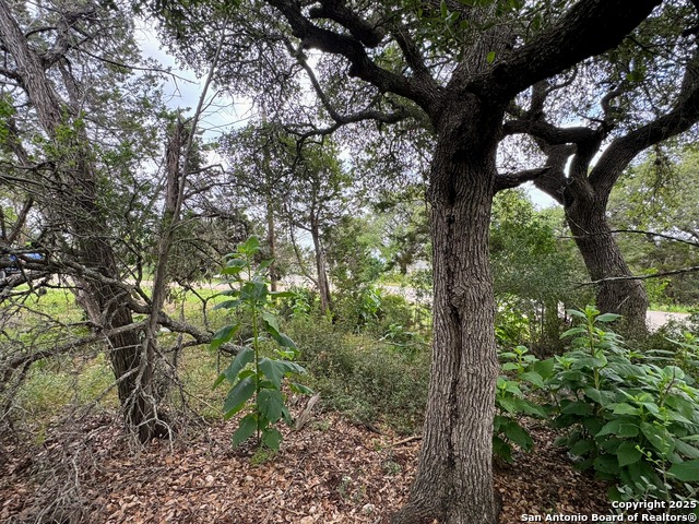 Listing photo id 10 for 1107 High Point