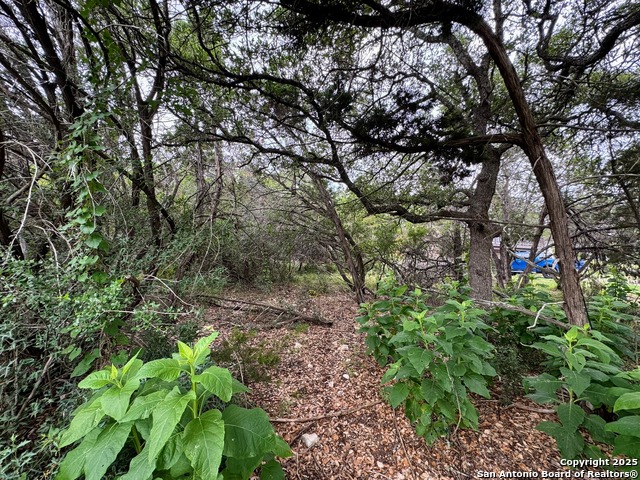 Listing photo id 11 for 1107 High Point