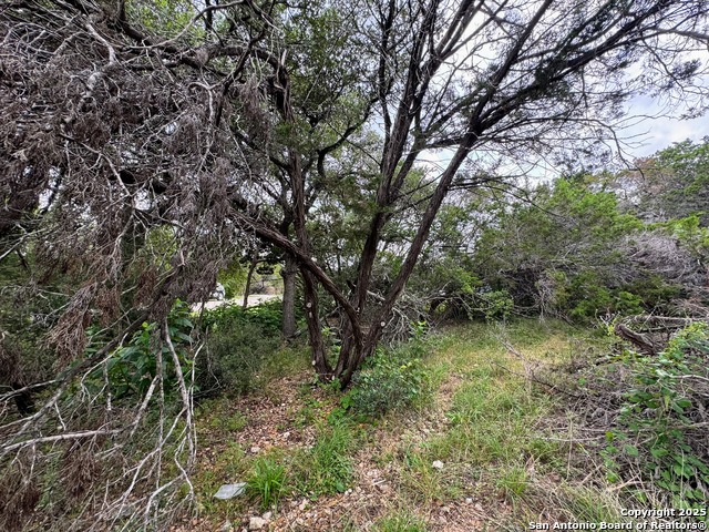 Listing photo id 2 for 1107 High Point