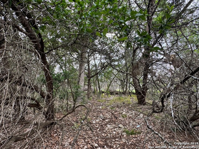 Listing photo id 3 for 1107 High Point