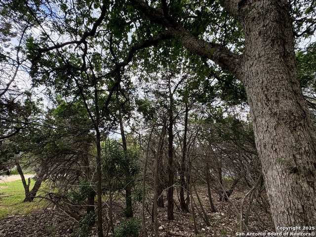 Listing photo id 4 for 1107 High Point