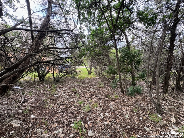 Listing photo id 5 for 1107 High Point