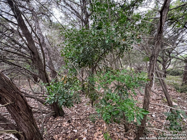 Listing photo id 7 for 1107 High Point