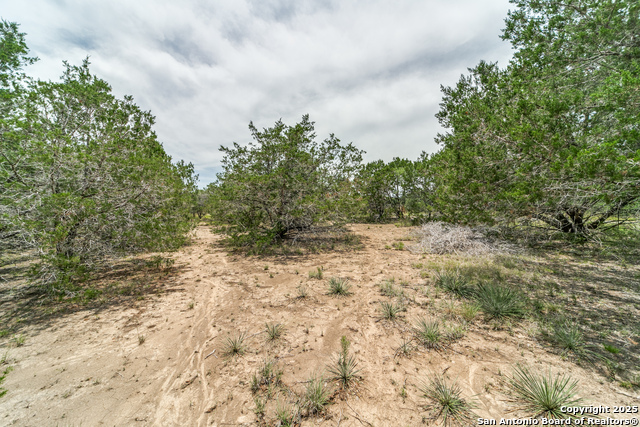 Image 11 of 22 For 216 Private Road 1506