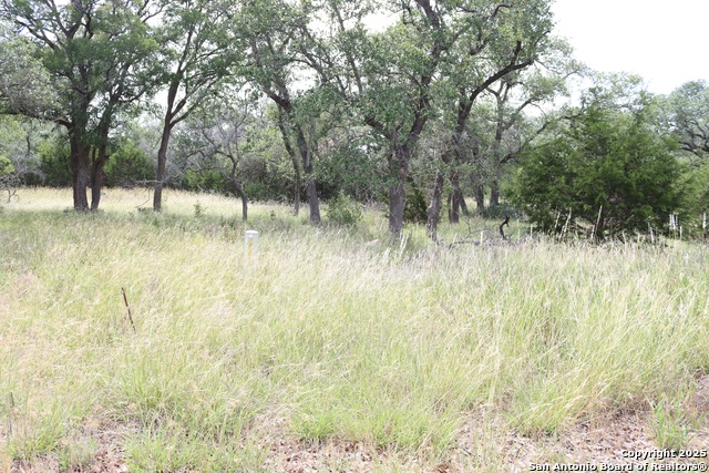 Details for 105 Sabella  , Spring Branch, TX 78070