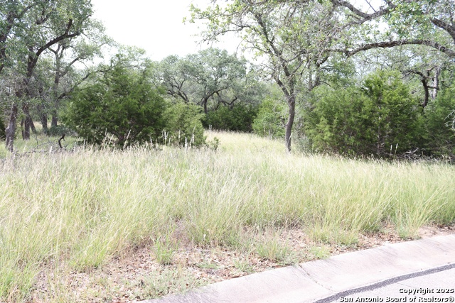 Image 2 of 2 For 105 Sabella  