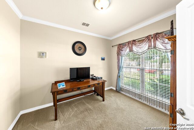 Listing photo id 17 for 3353 Joshs Way