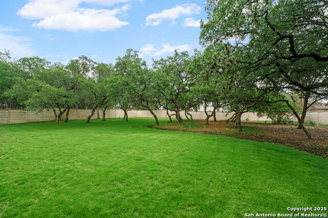 Listing photo id 46 for 20027 Buckhead