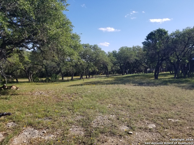 Listing photo id 10 for 9200 Park Road 37