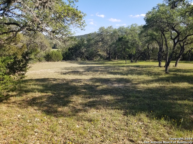 Listing photo id 12 for 9200 Park Road 37
