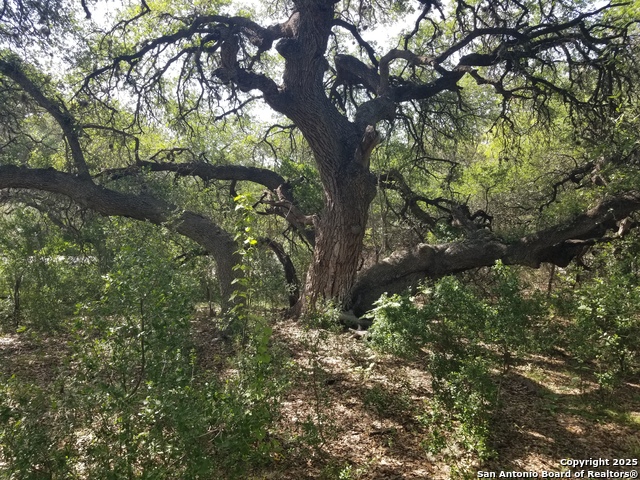 Listing photo id 17 for 9200 Park Road 37