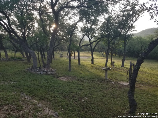 Listing photo id 38 for 9200 Park Road 37