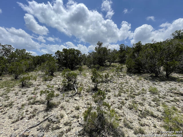 Listing photo id 8 for 218 Pr 1748