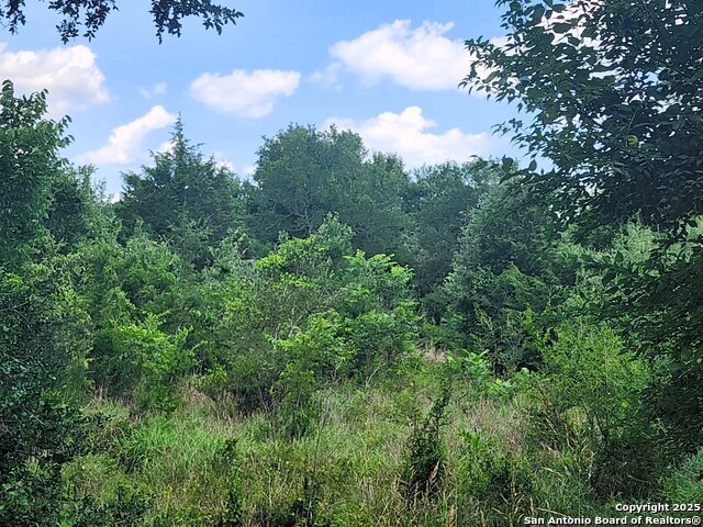 Image 10 of 11 For 961 Lane Pool