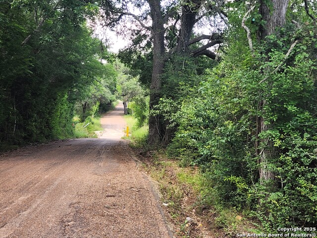 Image 11 of 11 For 961 Lane Pool