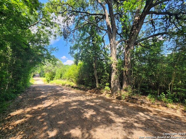 Image 3 of 11 For 961 Lane Pool
