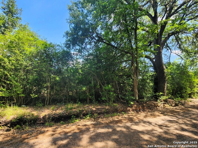 Image 4 of 11 For 961 Lane Pool