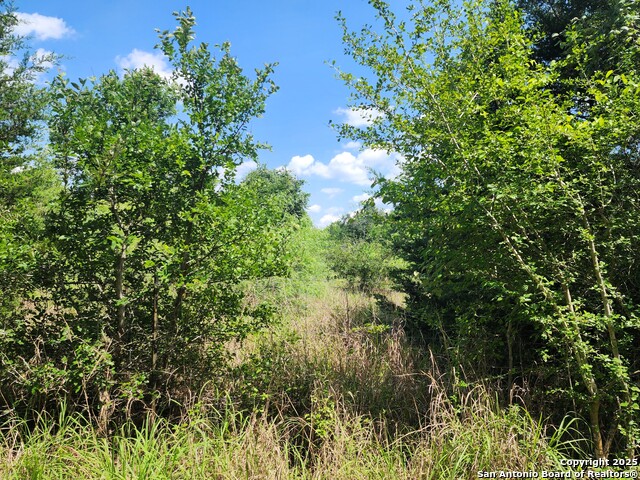 Image 5 of 11 For 961 Lane Pool