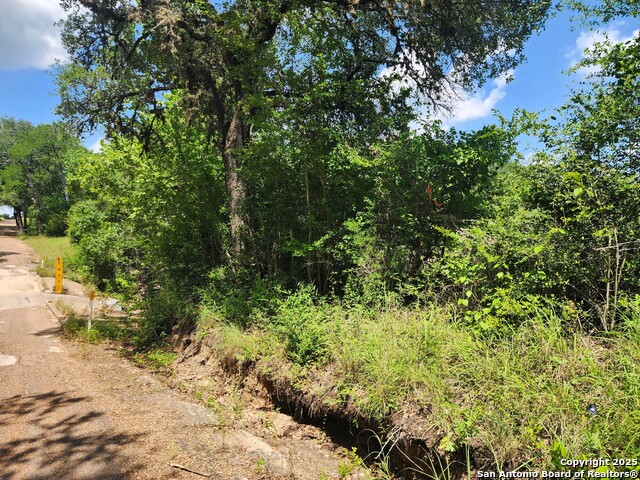 Image 6 of 11 For 961 Lane Pool