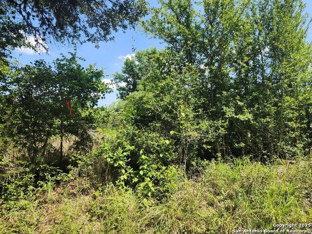 Image 7 of 11 For 961 Lane Pool