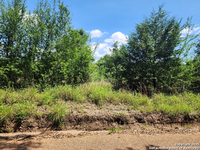 Image 8 of 11 For 961 Lane Pool