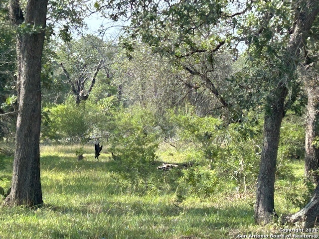 Image 6 of 11 For 0 Trumbo Rd  