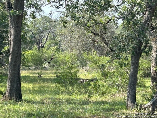 Image 7 of 11 For 0 Trumbo Rd  