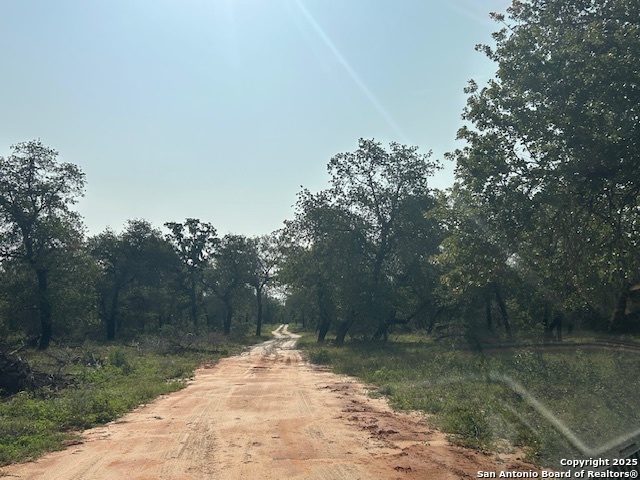 Image 8 of 11 For 0 Trumbo Rd  