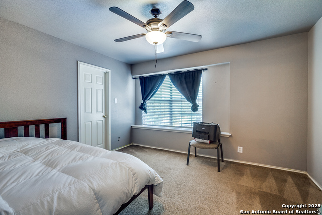 Listing photo id 15 for 1020 Lion King