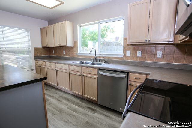 Image 13 of 25 For 14407 Longleaf Palm