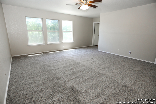 Image 15 of 25 For 14407 Longleaf Palm