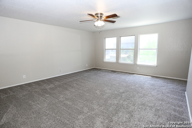 Image 16 of 25 For 14407 Longleaf Palm