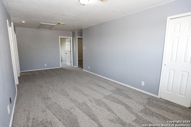 Image 20 of 25 For 14407 Longleaf Palm