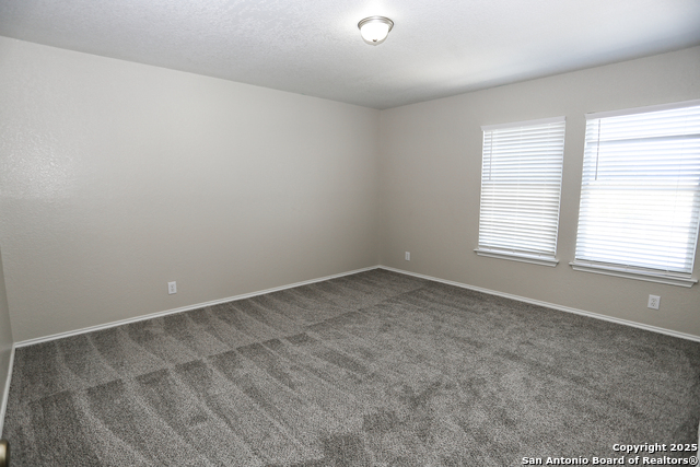 Image 22 of 25 For 14407 Longleaf Palm