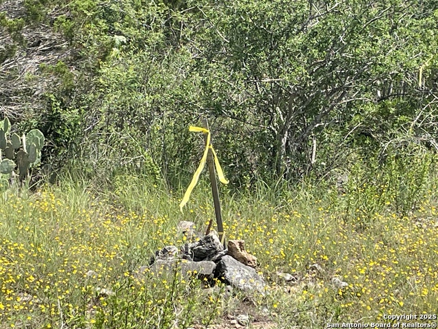 Listing photo id 9 for 000 Private Road 3341
